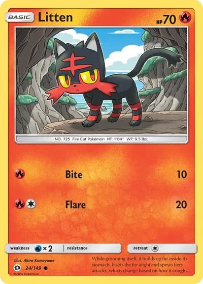 Litten — photo 1
