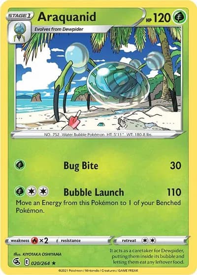 Araquanid — photo 1