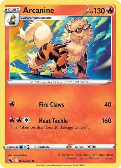 Arcanine — photo 1