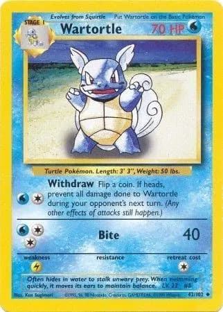 Wartortle — photo 1
