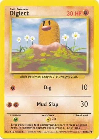 Diglett — photo 1