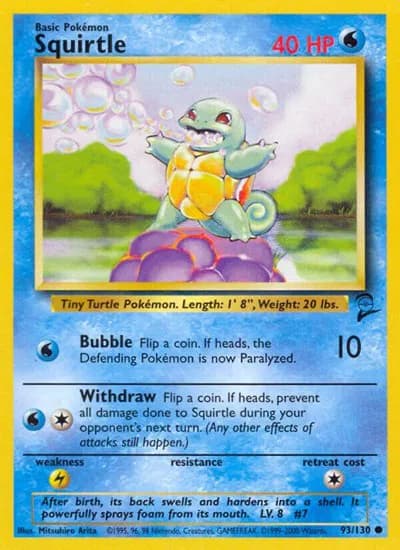 Squirtle — photo 1