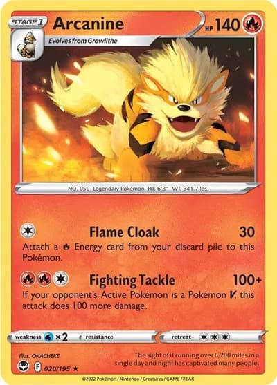 Arcanine — photo 1
