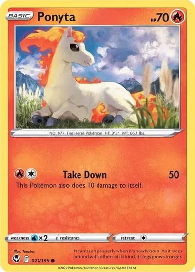 Ponyta — photo 1
