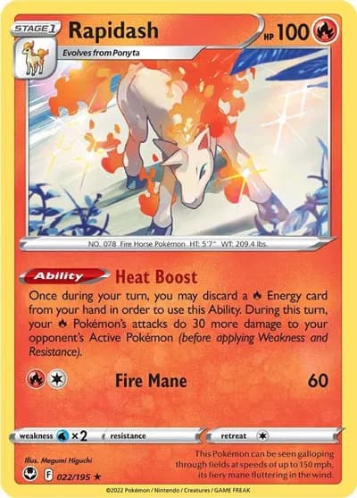 Rapidash — photo 1