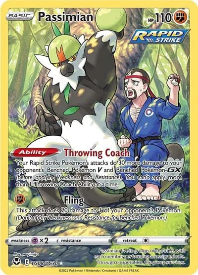Passimian — photo 1