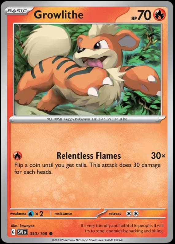 Growlithe — photo 1