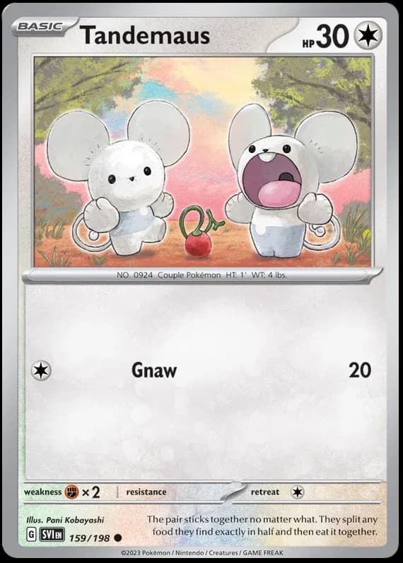 Tandemaus — photo 1