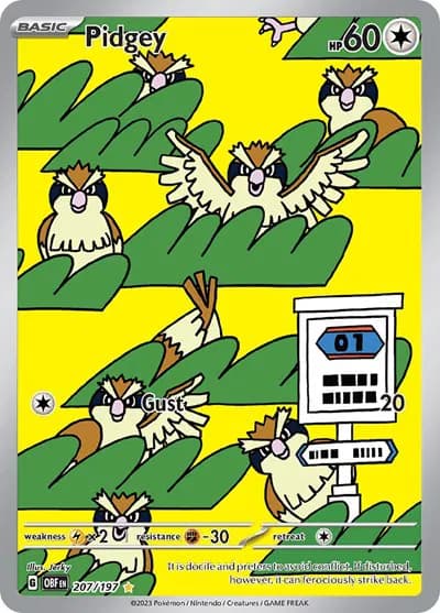 Pidgey — photo 1