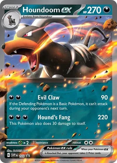 Houndoom ex — photo 1