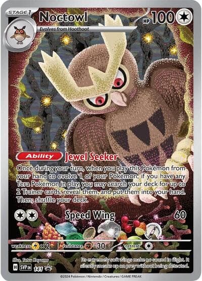 Noctowl — photo 1