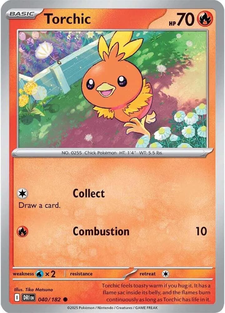 Torchic — photo 1