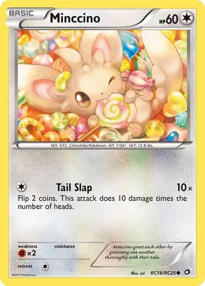 Minccino — photo 1