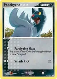 Poochyena — photo 1